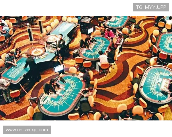 澳门新京官网网页版提供澳门本地生活服务信息，方便居民日常生活安排