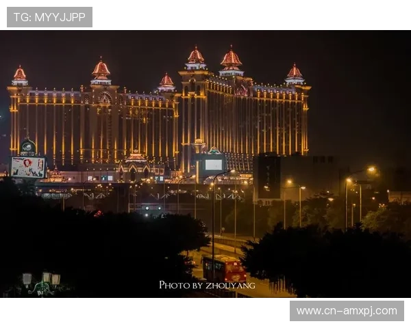 澳门新葡京app账号登录遇到问题怎么办，详细解决方案帮助你顺利进入游戏