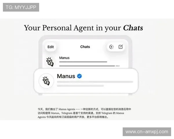 新普京在线注册公司操作界面及功能介绍