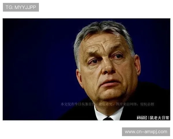 新普京app：定期推送最新活动和优惠信息保持用户关注度