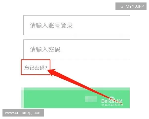 新普京网页版登录账号密码忘记怎么办，详细步骤帮你快速找回账号