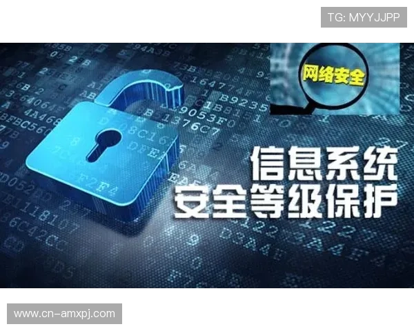 新葡京娱乐网址官方网站：如何保障账户安全与个人信息保护