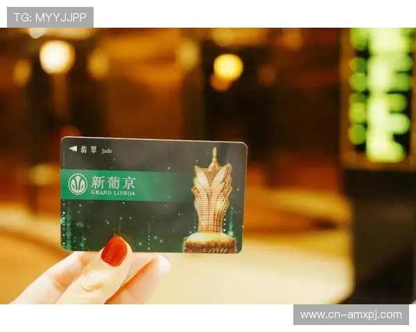 澳门新葡京官方入口详细介绍，提供最全的登录流程与安全保障措施，保障玩家权益