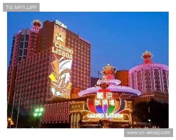 澳门新葡京娱乐官网入口官方最新登录地址，确保玩家零风险安全进入