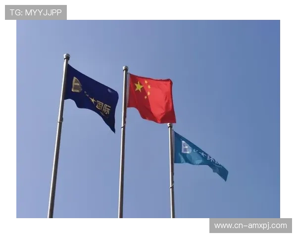 澳门线上上葡京平台如何保障玩家资金安全，全面解析安全措施与合法运营保障措施