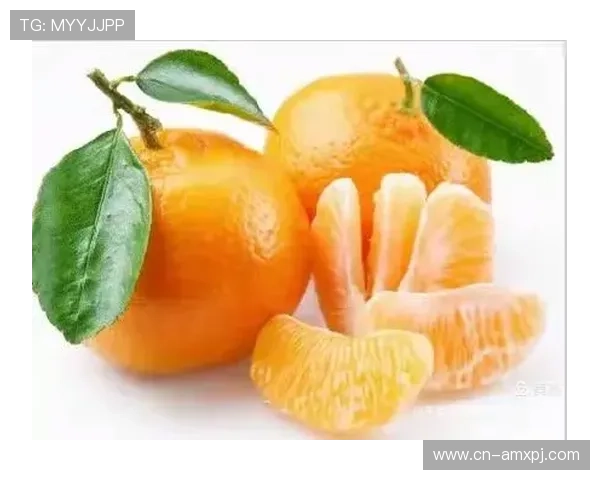 京葡官网玩家交流社区，畅谈游戏心得与结伴组队的最佳平台