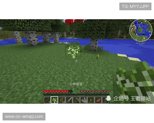 新葡萄娱乐城线上官方入口游戏种类丰富，满足不同玩家的多样化娱乐需求